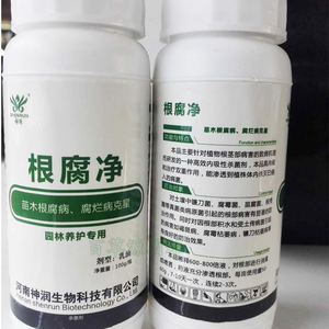 根腐凈