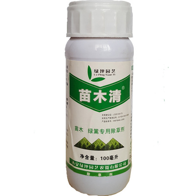 苗木清